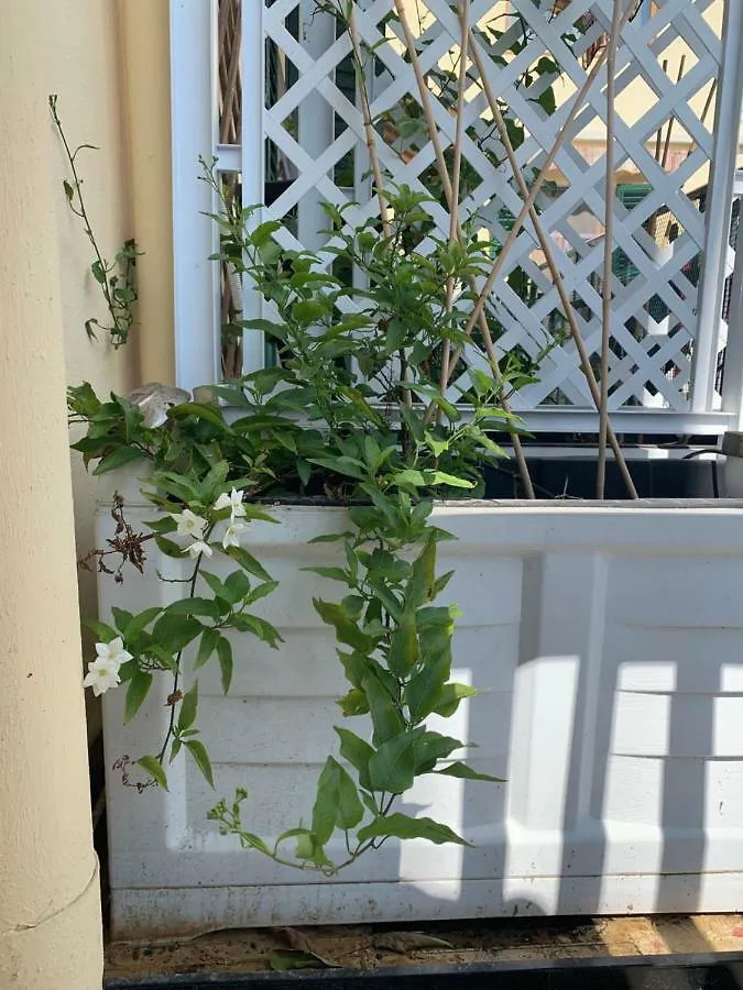 Cadorna Lägenhet Florens Rum i privatbostad